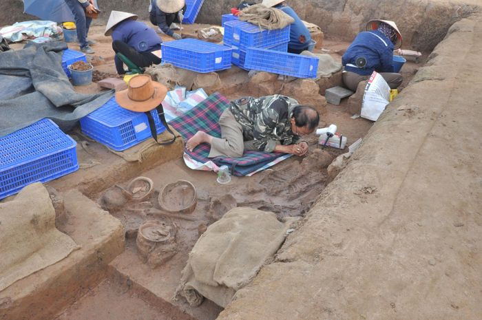 Phát hiện này mở ra triển vọng mới về việc tìm hiểu kiến trúc nhà ở thường nhật trong một ngôi làng Việt cổ thời Đông Sơn, cũng như cách thức bố trí không gian cư trú trong làng... Ảnh: Nguyên Khánh / Báo Tiền Phong.