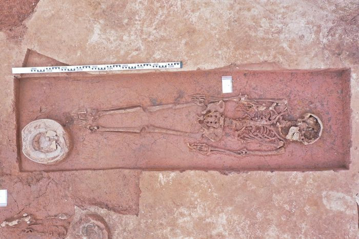 Các nhà khai quật đã phát hiện hơn 70 mộ táng tiền Đông Sơn và 40 mộ táng Đông Sơn, chia thành 2 giai đoạn mộ Đông Sơn sớm và mộ Đông Sơn muộn. Ảnh: Nguyên Khánh / Báo Tiền Phong.