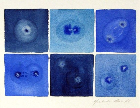  9. Giả thuyết Sinh hóa học cộng sinh (Co-Evolution of Metabolism). Giả thuyết này cho rằng các chuỗi phản ứng sinh hóa phức tạp, chẳng hạn như sự phát triển của các con đường trao đổi chất, đã tiến hóa trước khi có các tế bào sống, tạo tiền đề cho sự sống xuất hiện. Ảnh: Pinterest.