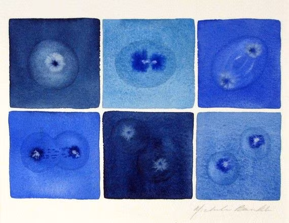  9. Giả thuyết Sinh hóa học cộng sinh (Co-Evolution of Metabolism). Giả thuyết này cho rằng các chuỗi phản ứng sinh hóa phức tạp, chẳng hạn như sự phát triển của các con đường trao đổi chất, đã tiến hóa trước khi có các tế bào sống, tạo tiền đề cho sự sống xuất hiện. Ảnh: Pinterest.
