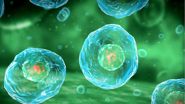  5. Giả thuyết Cấu trúc màng lipid". Giả thuyết này cho rằng sự sống bắt đầu từ các màng lipid đơn giản có khả năng tự tổ chức và hình thành các tế bào tiền thân. Các màng này có thể đã chứa đựng các phân tử sinh học và tạo ra các hệ thống sống sơ khai. Ảnh: Pinterest.