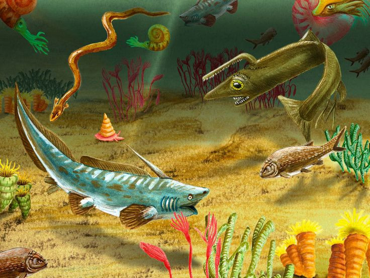  2. Tuyệt chủng Kỷ Ordovic – Silur (444 triệu năm trước). Đây là sự kiện tuyệt chủng lớn thứ hai, xảy ra vào cuối Kỷ Ordovic. Ảnh: Pinterest.