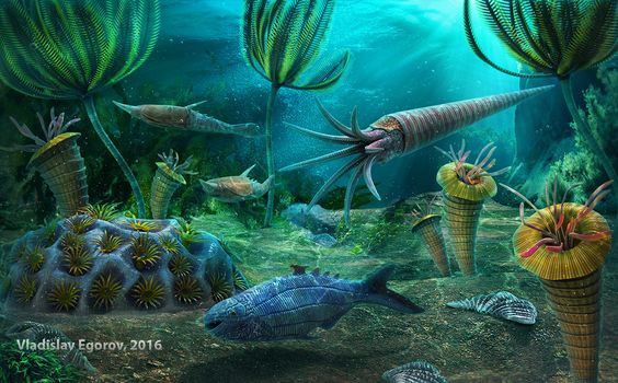 Tác động: Khoảng 85% các loài sinh vật biển bị tuyệt chủng, đặc biệt là các sinh vật sống ở đáy biển như san hô, động vật chân đốt, và các loài sinh vật thân mềm. Ảnh: Pinterest.