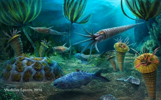 Tác động: Khoảng 85% các loài sinh vật biển bị tuyệt chủng, đặc biệt là các sinh vật sống ở đáy biển như san hô, động vật chân đốt, và các loài sinh vật thân mềm. Ảnh: Pinterest.