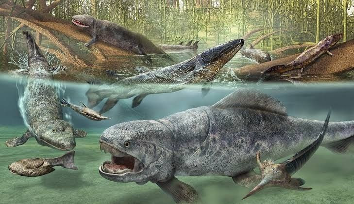  3. Tuyệt chủng Kỷ Devon – Carbon ( khoảng 375-360 triệu năm trước). Sự kiện này diễn ra trong thời gian dài và làm giảm đáng kể số lượng các loài sinh vật biển. Ảnh: Pinterest.