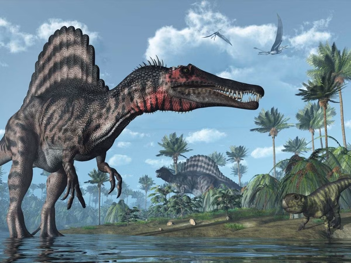  Spinosaurus. Được biết đến với chiếc vây lưng hình buồm khổng lồ, Spinosaurus là một trong những loài khủng long săn mồi lớn nhất. Chúng được cho là loài sống bán thủy sinh, thường săn mồi trong các vùng nước. Ảnh: Pinterest.