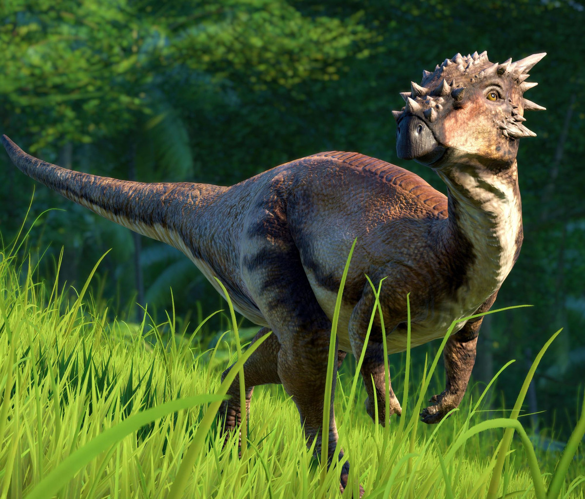 Dracorex. Được gọi là "vua rồng của Hogwarts," loài khủng long này có cái đầu dài với nhiều gai nhọn, khiến nó trông giống như sinh vật trong thần thoại hơn là một loài vật có thật. Ảnh: Pinterest.