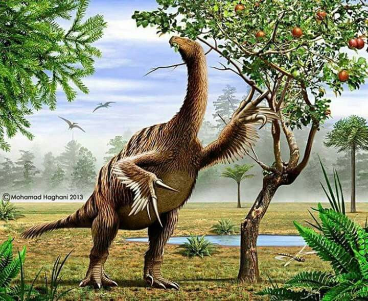 Nothronychus. Giống như Therizinosaurus, loài này có những chiếc vuốt khổng lồ nhưng lại ăn thực vật. Cơ thể của chúng trông nhưg một con chim cánh cụt khổng lồ với đôi tay dài. Ảnh: Pinterest.