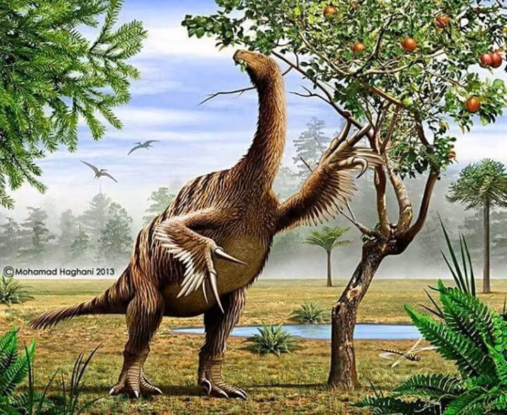 Nothronychus. Giống như Therizinosaurus, loài này có những chiếc vuốt khổng lồ nhưng lại ăn thực vật. Cơ thể của chúng trông nhưg một con chim cánh cụt khổng lồ với đôi tay dài. Ảnh: Pinterest.