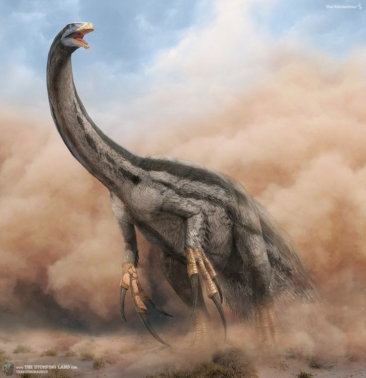 Therizinosaurus. Đây là loài khủng long đi bằng hai chân có cặp vuốt dài đến 1 mét – dài nhất trong số các loài khủng long từng được biết đến. Dù có vẻ ngoài “nguy hiểm”, Therizinosaurus chủ yếu ăn thực vật. Ảnh: Pinterest.
