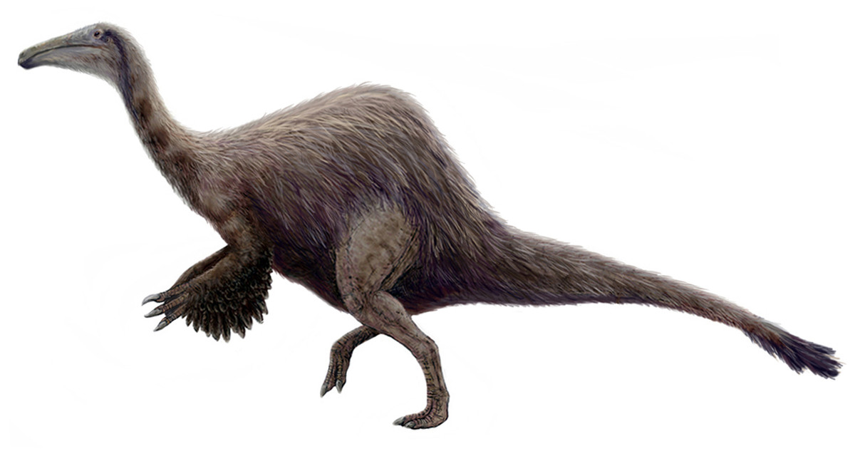Deinocheirus. Loài khủng long có cặp tay khổng lồ với vuốt dài, lưng gù gù và mõm là một cái mỏ vịt kỳ lạ. Đây là một loài ăn tạp, có thể ăn cả thực vật và cá. Ảnh: Pinterest.