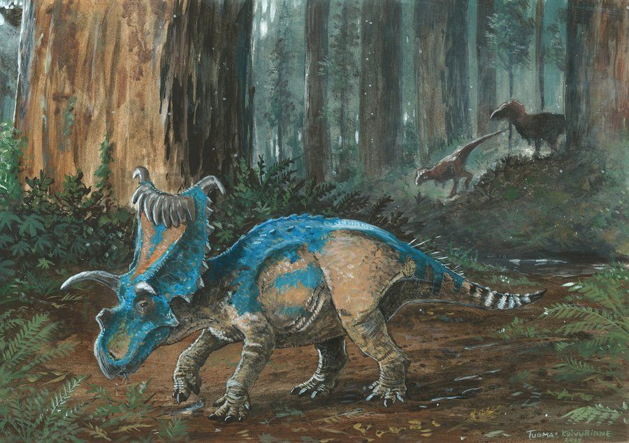 Kosmoceratops. Loài khủng long này có phần đầu được trang trí bằng 15 chiếc sừng. Tấm xương ở cổ của nó được cho là có các hoa văn phức tạp. Ảnh: Pinterest.