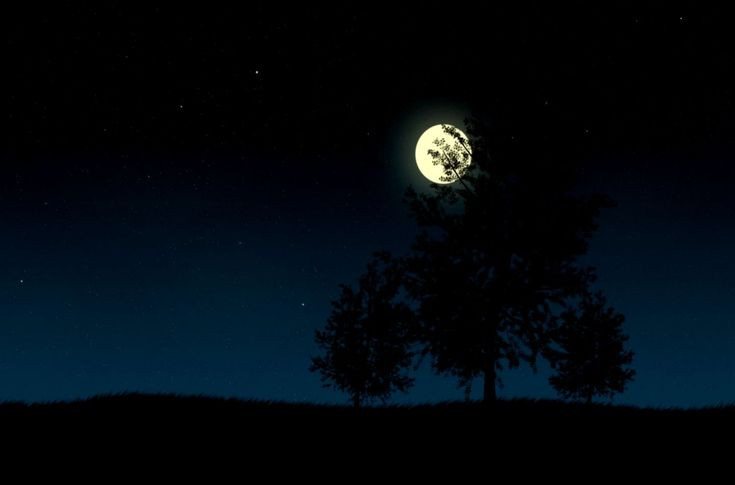 Trục nghiêng của Trái Đất có thể dao động mạnh hơn, dẫn đến biến đổi khí hậu lớn hơn và thay đổi đáng kể chu kỳ mùa. Ảnh: Pinterest.