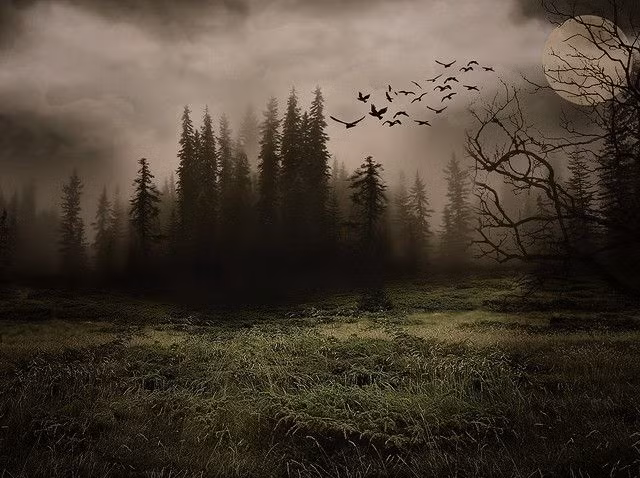  7. Sau 500 năm. Các dấu vết về nền văn minh con người sẽ chỉ còn lại trong các lớp trầm tích, vì gần như mọi công trình nhân tạo đều bị phá hủy hoặc che phủ bởi thiên nhiên. Các công trình như kim tự tháp Ai Cập có thể tồn tại lâu hơn do quy mô lớn và bền vững. Ảnh: Pinterest.