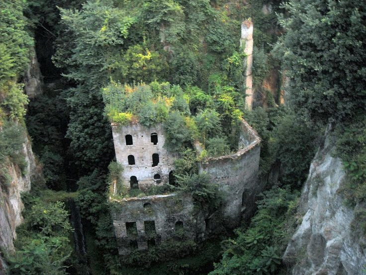  4. Sau vài năm: Không có con người can thiệp, các khu rừng sẽ mở rộng vào các thành phố. Các động vật hoang dã như hươu, sói, gấu có thể sẽ di cư vào các khu vực trước đây là của con người. Các con đường và cầu sẽ bị cây cỏ mọc tràn qua và phá vỡ cấu trúc. Ảnh: Pinterest.