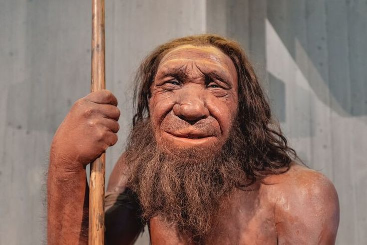  Kết luận: Sự tồn tại của Neanderthal đến ngày nay sẽ tạo ra một thế giới rất khác biệt, với nhiều thách thức và cơ hội mới cho nhân loại. Tình hình có thể dẫn đến sự phong phú hơn trong cả văn hóa và khoa học, đồng thời cũng đặt ra những câu hỏi sâu sắc về bản chất của chúng ta như là một loài. Ảnh: Pinterest.