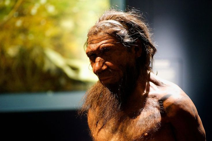  7. Quan điểm về nhân loại. Sự tồn tại của Neanderthal có thể làm thay đổi cách mà chúng ta nhìn nhận về khái niệm "nhân loại." Khả năng xem người Neanderthal là một phần của gia đình nhân loại có thể dẫn đến những cuộc tranh luận về bản chất của sự sống, nhận thức và quyền lợi của các loài khác. Ảnh: Pinterest.