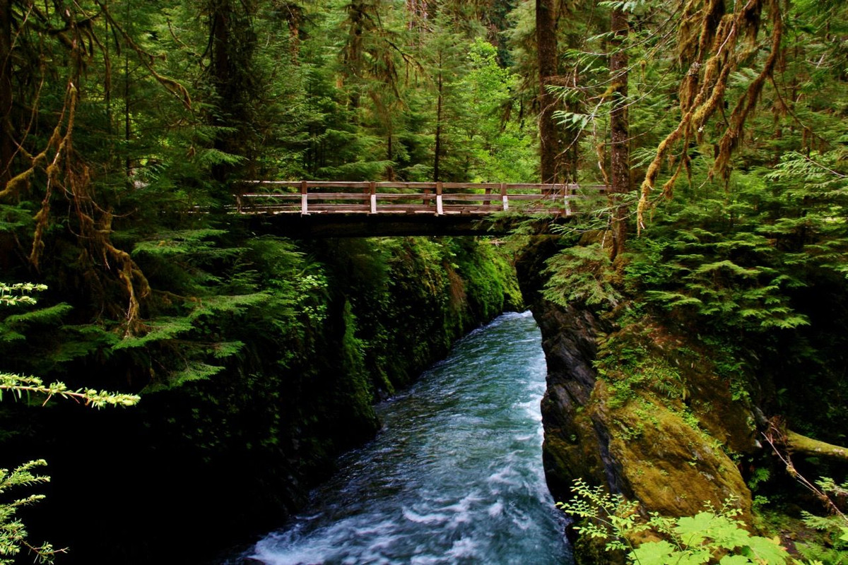  12. Vườn quốc gia Olympic (Washington). Thành lập: 1938. Đặc điểm nổi bật: Có hệ sinh thái đa dạng với rừng mưa ôn đới, bờ biển hoang sơ và các dãy núi tuyết phủ, VQG Olympic là nơi thu hút du khách đến để khám phá thiên nhiên phong phú. Ảnh: Pinterest.