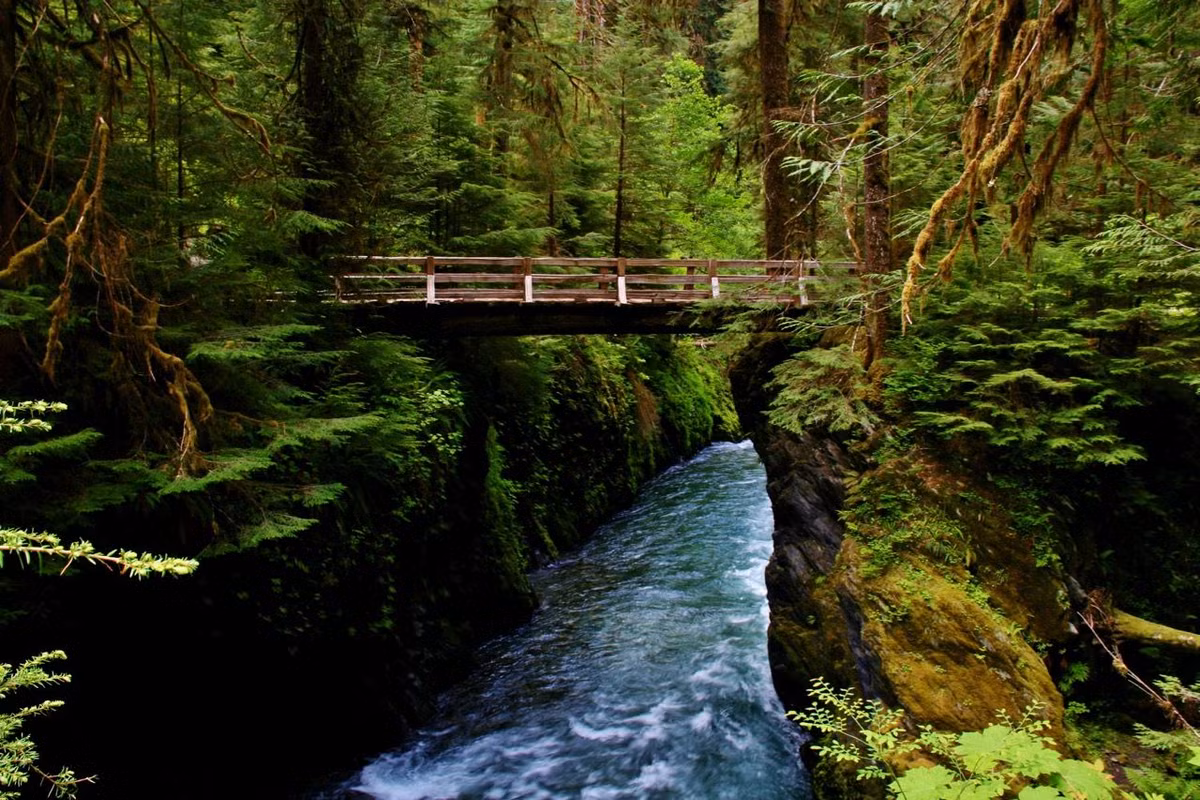  12. Vườn quốc gia Olympic (Washington). Thành lập: 1938. Đặc điểm nổi bật: Có hệ sinh thái đa dạng với rừng mưa ôn đới, bờ biển hoang sơ và các dãy núi tuyết phủ, VQG Olympic là nơi thu hút du khách đến để khám phá thiên nhiên phong phú. Ảnh: Pinterest.