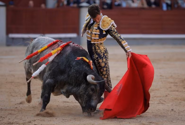 Tai sao bo tot mu mau lai noi dien khi thay mau do?