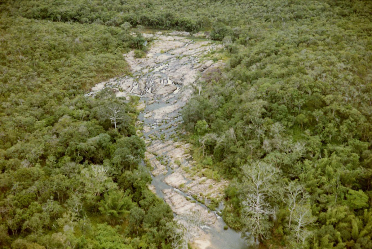 Thác Cam Ly nhìn từ máy bay, năm 1969. Ảnh: Tom Petersen.