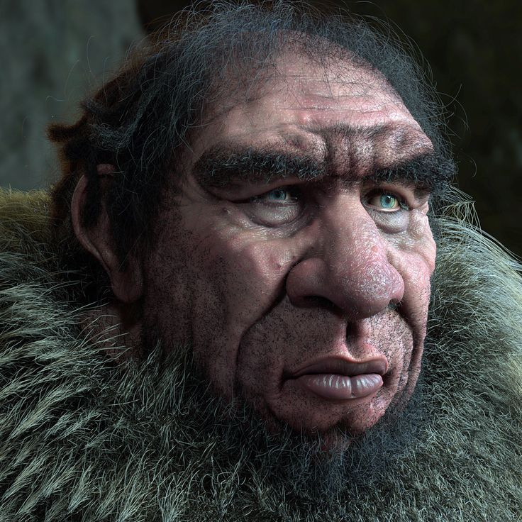  7. Homo neanderthalensis. Thời gian sống: Khoảng 400.000 - 40.000 năm trước. Đặc điểm: Sống chủ yếu ở châu Âu và châu Á, người Neanderthal có thể lực rất tốt và có các công cụ phức tạp, nhưng đã tuyệt chủng do cạnh tranh với H. sapiens hoặc biến đổi khí hậu. Ảnh: Pinterest.
