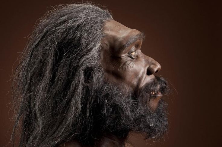  6. Homo heidelbergensis. Thời gian sống: Khoảng 600.000 - 200.000 năm trước. Đặc điểm: Sống ở châu Phi và châu Âu, H. heidelbergensis có não lớn hơn và là tổ tiên của cả Homo neanderthalensis (người Neanderthal) và Homo sapiens. Ảnh: Pinterest.