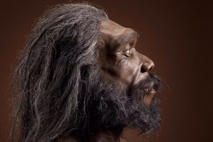  6. Homo heidelbergensis. Thời gian sống: Khoảng 600.000 - 200.000 năm trước. Đặc điểm: Sống ở châu Phi và châu Âu, H. heidelbergensis có não lớn hơn và là tổ tiên của cả Homo neanderthalensis (người Neanderthal) và Homo sapiens. Ảnh: Pinterest.