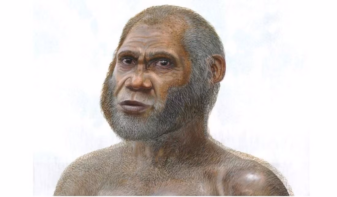  11. Homo luzonensis. Thời gian sống: Khoảng 67.000 năm trước. Đặc điểm: Được tìm thấy trên đảo Luzon ở Philippines, người H. luzonensis có kích thước nhỏ bé và chia sẻ một số đặc điểm với người H. floresiensis. Ảnh: Pinterest.