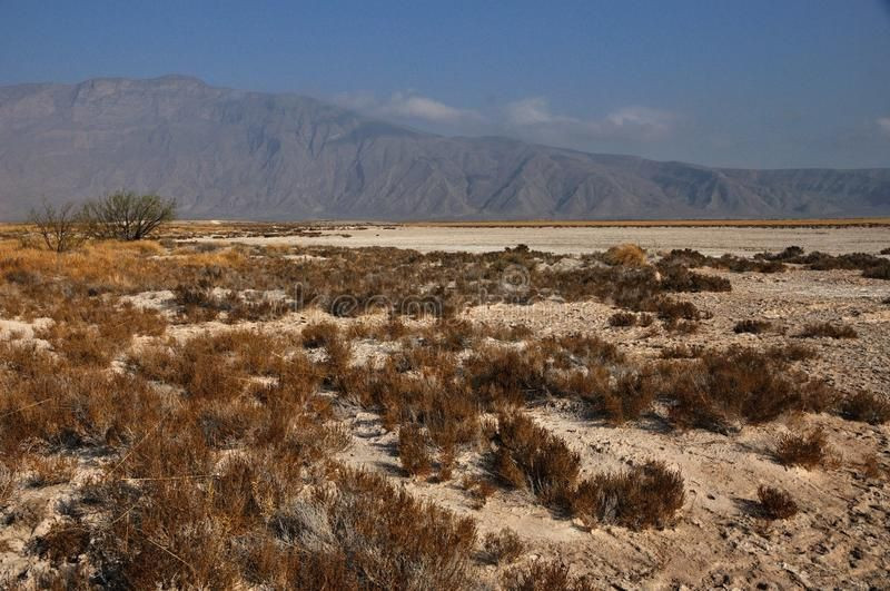  Xác ướp khô tự nhiên ở sa mạc Chihuahua (Mexico). Trong sa mạc Chihuahua, nhiều xác người được tìm thấy đã bị khô một cách tự nhiên do khí hậu khô cằn và độ ẩm thấp, bảo quản các xác ướp tự nhiên rất lâu dài. Ảnh: Pinterest.