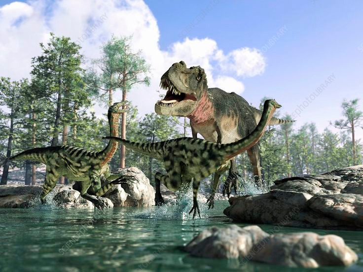  Các giác quan phát triển cao: Một số loài săn mồi như Tyrannosaurus rex đã có khứu giác phát triển mạnh. Nếu tồn tại đến ngày nay, khủng long săn mồi có thể sẽ tiến hóa các giác quan như thị giác và thính giác tốt hơn để săn mồi và sống sót trong những môi trường đa dạng hơn. Ảnh: Pinterest.