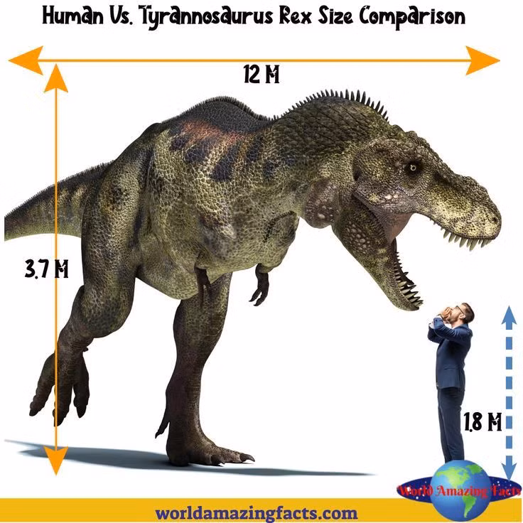  Sự thích nghi của con người: Sự phát triển của con người có thể bị hạn chế hoặc chậm lại nếu phải cạnh tranh với những loài động vật khổng lồ và nguy hiểm. Chúng ta có thể sẽ sống trong các khu vực được bảo vệ và có những phương thức phòng vệ đặc biệt để tránh bị đe dọa bởi các loài khủng long ăn thịt. Ảnh: Pinterest.