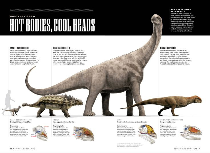  Phát triển công nghệ và kiến trúc: Nếu khủng long vẫn tồn tại, kiến trúc và công nghệ của loài người có thể phát triển theo hướng tập trung vào việc phòng thủ và bảo vệ. Các thành phố có thể được xây dựng cao hơn hoặc có hệ thống phòng vệ phức tạp để tránh sự tấn công của khủng long lớn. Ảnh: Pinterest.
