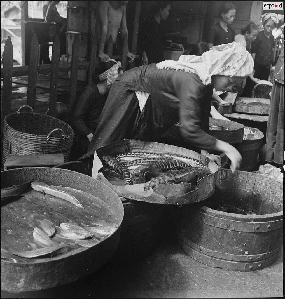 Cận cảnh một quầy bán cá. Ảnh: Auteur inconnu/ECPAD/Défense.