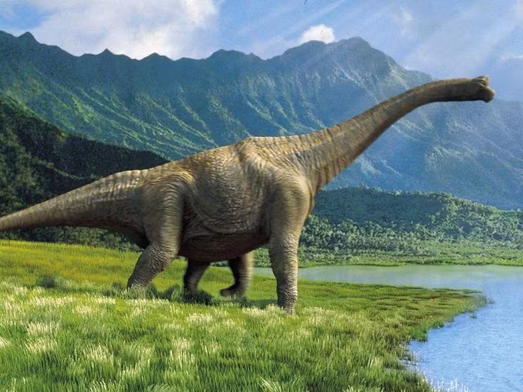  Biến đổi khí hậu: Trước khi thiên thạch va chạm, Trái đất đã trải qua những biến đổi khí hậu dài hạn. Sự thay đổi nhiệt độ và điều kiện thời tiết có thể đã gây ảnh hưởng đến nguồn thức ăn của khủng long và gây ra sự suy giảm dân số dần dần. Ảnh: Pinterest.