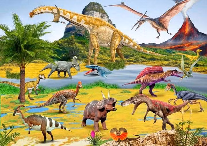  Sự phát triển của thực vật có hoa: Sự xuất hiện và lan rộng của thực vật có hoa vào cuối kỷ Phấn Trắng có thể đã thay đổi hệ sinh thái và các nguồn thức ăn. Khủng long ăn cỏ có thể không thích ứng kịp với sự thay đổi này, dẫn đến sự suy giảm. Khủng long ăn thịt cũng suy giảm theo do không còn con mồi. Ảnh: Pinterest.