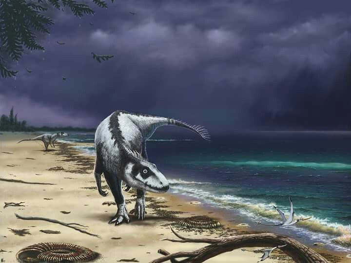  Thay đổi mực nước biển: Sự dao động mực nước biển có thể đã làm thay đổi môi trường sống của nhiều loài động vật, bao gồm khủng long. Mực nước biển hạ xuống và dâng lên thất thường có thể đã phá hủy nhiều hệ sinh thái ven biển. Ảnh: Pinterest.