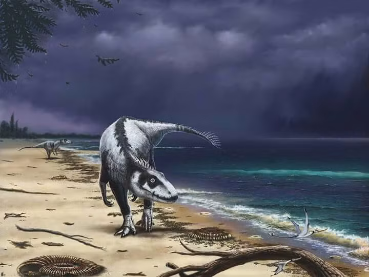  Thay đổi mực nước biển: Sự dao động mực nước biển có thể đã làm thay đổi môi trường sống của nhiều loài động vật, bao gồm khủng long. Mực nước biển hạ xuống và dâng lên thất thường có thể đã phá hủy nhiều hệ sinh thái ven biển. Ảnh: Pinterest.