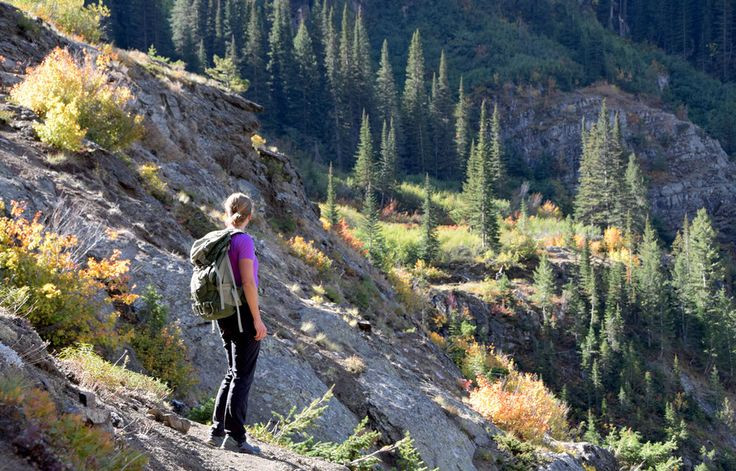  7. Đánh dấu vị trí: Nếu có thể, hãy để lại dấu hiệu cho người khác có thể tìm thấy bạn, như tạo một dấu hiệu trên mặt đất (ví dụ như dùng đèn pin hoặc đốt lửa) hoặc sử dụng các vật dụng dễ thấy (như một mảnh vải màu sắc sặc sỡ). Ảnh: Pinterest.