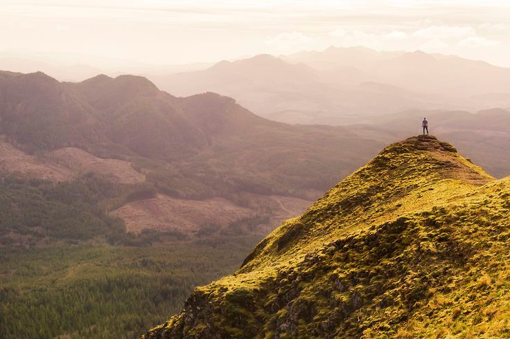  6. Tìm nước và thực phẩm: Nếu bạn bị lạc lâu, hãy tìm nguồn nước sạch và những thứ bạn chắc chắn có thể ăn được. Tuyệt đối không ăn các loại quả và nấm lạ. Ảnh: Pinterest.
