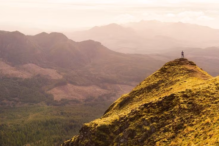  6. Tìm nước và thực phẩm: Nếu bạn bị lạc lâu, hãy tìm nguồn nước sạch và những thứ bạn chắc chắn có thể ăn được. Tuyệt đối không ăn các loại quả và nấm lạ. Ảnh: Pinterest.