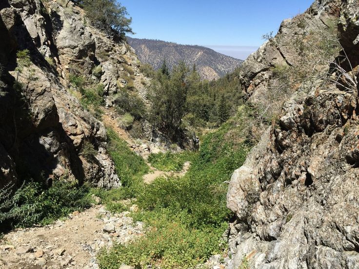  8. Chờ đợi: Nếu bạn không thể tìm đường trở về, hãy chờ ở một nơi an toàn, vì có thể người khác đang tìm kiếm bạn. Ảnh: Pinterest.