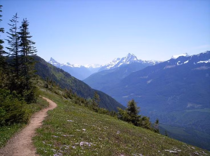  3. Đánh giá tình hình: Hãy kiểm tra xung quanh và cố gắng nhớ lại lộ trình bạn đã đi qua. Xác định vị trí của bạn nếu có thể. Ảnh: Pinterest.