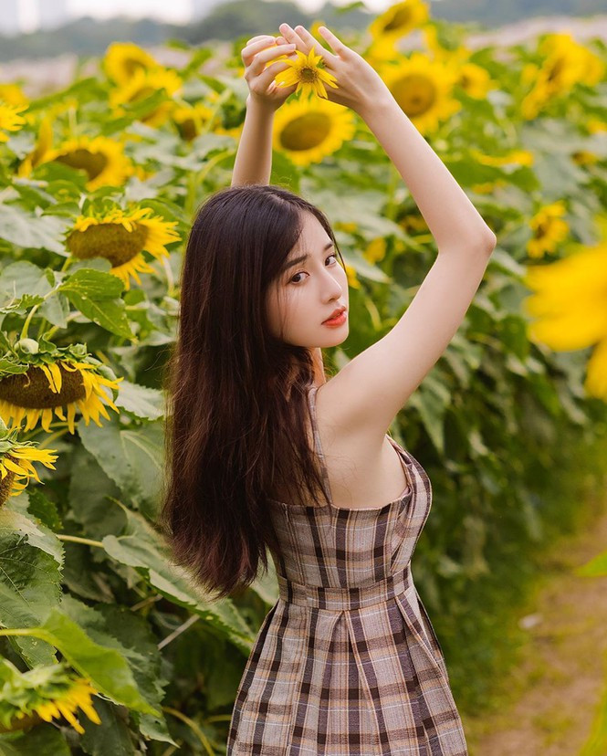 Với nhan sắc xinh đẹp, vóc dáng thanh mảnh cân đối, bộ ảnh tạo dáng giữa vườn hoa hướng dương vàng rực rỡ của nàng thơ trường FPT thu hút sự chú ý của cộng đồng mạng, được các chàng trai không ngớt lời khen và gửi lời mời kết bạn trên mạng xã hội. - Ảnh: Kiên Ka Ka