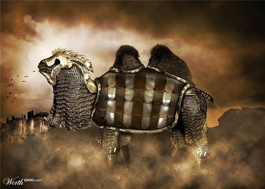 Dù bị khí thế của địch lấn át, nhưng Thiếp Mộc Nhi vẫn bình tĩnh ra lệnh cho người của mình chất hết đồ đạc lên lạc đà trước khi rút quân. Ngay sau đó, toàn bộ quân đội của Thiếp Mộc Nhi bắt đầu đốt cháy yên lạc đà, hướng chúng chạy về phía quân địch.