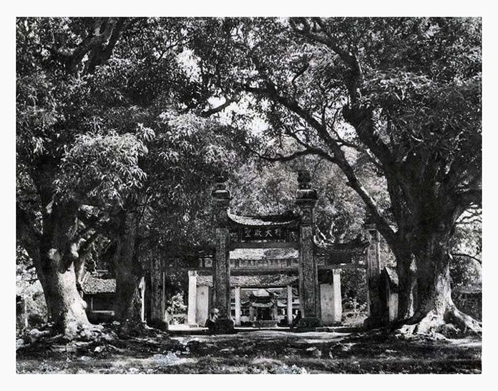 Hàng cây cổ thụ bên ngoài cổng chùa Láng năm 1941, ảnh của nhiếp ảnh gia lão thành Võ An Ninh.