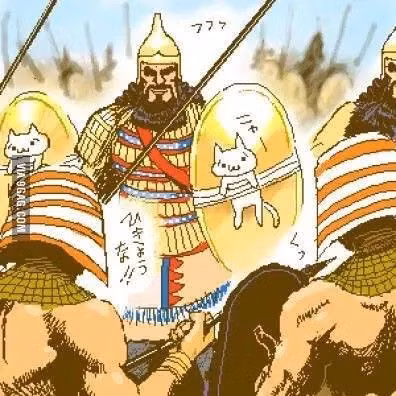 Vua Cambyses II thấy rằng ông có thể tận dụng điều này để làm suy yếu quân Ai Cập. Theo lệnh của ông, các họa sĩ đã vẽ hình mèo lên các lá chắn cho quân tiên phong Ba Tư. Thậm chí hàng trăm con mèo sống đã được buộc lên phía trước lá chắn khi quân Ba Tư tiến vào hàng ngũ kẻ thù.