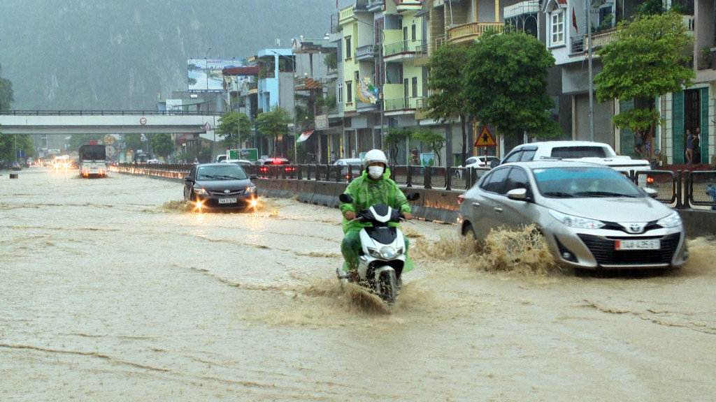 Kiểm tra, chỉ đạo trực tiếp việc tiêu thoát nước khu vực này trong sáng nay, ông Phạm Văn Kính, Phó Chủ tịch UBND TP Cẩm Phả, cho biết: Mặc dù thường xuyên nạo vét hệ thống thoát nước nhưng do cống thoát nước qua Quốc lộ 18 quá nhỏ nên không thoát được lượng nước lớn trong một thời gian ngắn. Để xử lý dứt điểm ngập úng cục bộ tại đây, thành phố cùng với đơn vị quản lý Quốc lộ 18 sẽ trình cấp có thẩm quyền để làm lại hệ thống cống qua Quốc lộ. (Đường qua đoạn Km6, phường Quang Hanh, có chỗ ngập trên 50cm)