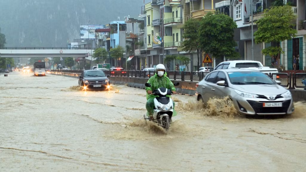 Kiểm tra, chỉ đạo trực tiếp việc tiêu thoát nước khu vực này trong sáng nay, ông Phạm Văn Kính, Phó Chủ tịch UBND TP Cẩm Phả, cho biết: Mặc dù thường xuyên nạo vét hệ thống thoát nước nhưng do cống thoát nước qua Quốc lộ 18 quá nhỏ nên không thoát được lượng nước lớn trong một thời gian ngắn. Để xử lý dứt điểm ngập úng cục bộ tại đây, thành phố cùng với đơn vị quản lý Quốc lộ 18 sẽ trình cấp có thẩm quyền để làm lại hệ thống cống qua Quốc lộ. (Đường qua đoạn Km6, phường Quang Hanh, có chỗ ngập trên 50cm)