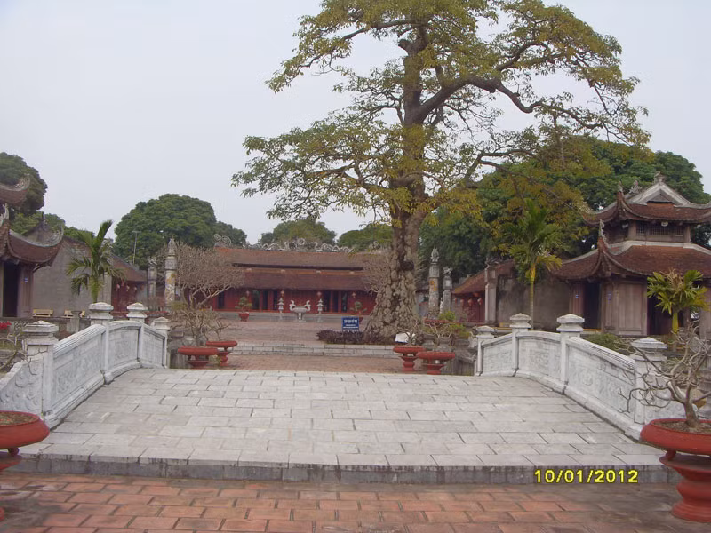 Giữa sân là cây gạo cổ thụ hơn 200 tuổi. Đây là cây lưu niệm được trồng trong đợt kiến thiết lại Văn Miếu năm 1801, dưới thời Cảnh Thịnh nhà Tây Sơn.